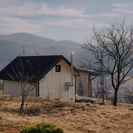 Fazenda house Daire Slavske Dış mekan fotoğraf